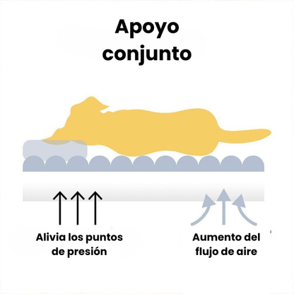 Cama ortopédica para perros con soporte para el cuello – Suave, mullida y lavable para un descanso cómodo y saludable