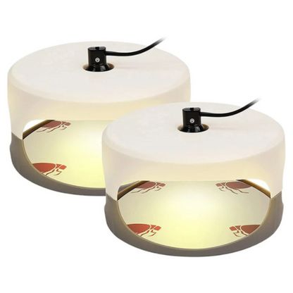 Trampa Antichinches para Interiores – Dispositivo Eficaz contra Chinches de Cama