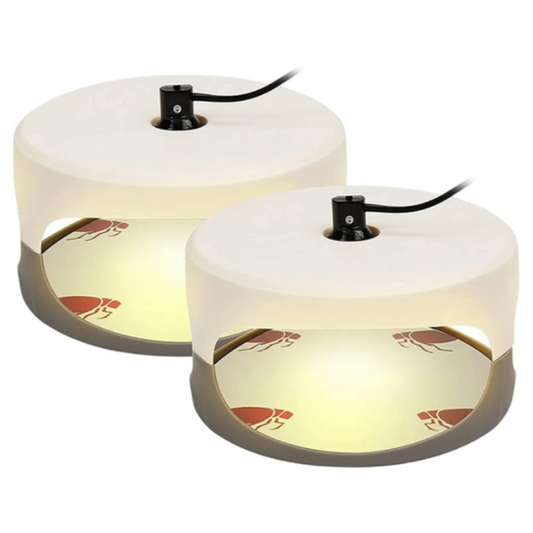 Trampa Antichinches para Interiores – Dispositivo Eficaz contra Chinches de Cama