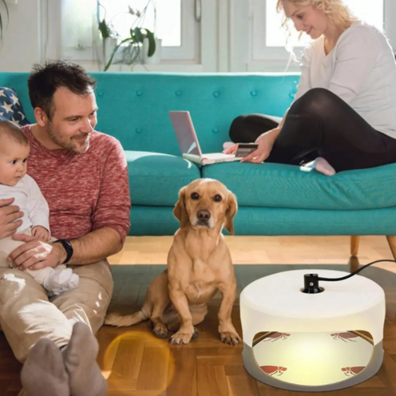 Trampa Antichinches para Interiores – Dispositivo Eficaz contra Chinches de Cama