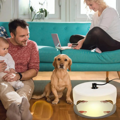 Trampa Antichinches para Interiores – Dispositivo Eficaz contra Chinches de Cama