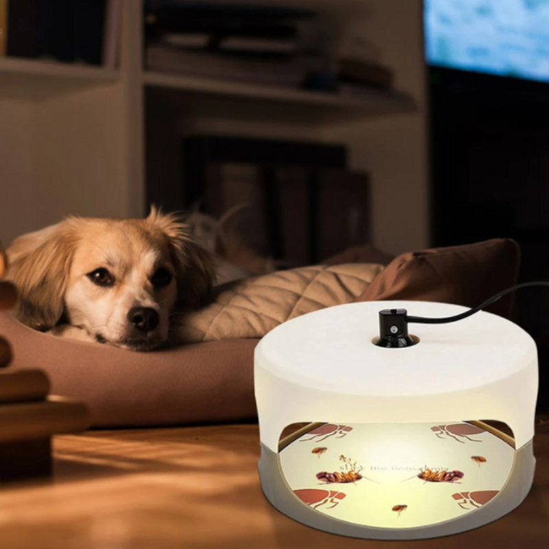 Trampa Antichinches para Interiores – Dispositivo Eficaz contra Chinches de Cama