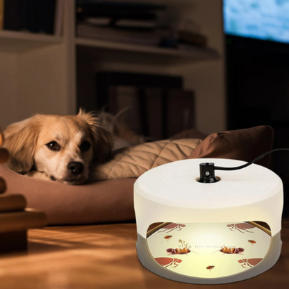 Trampa Antichinches para Interiores – Dispositivo Eficaz contra Chinches de Cama