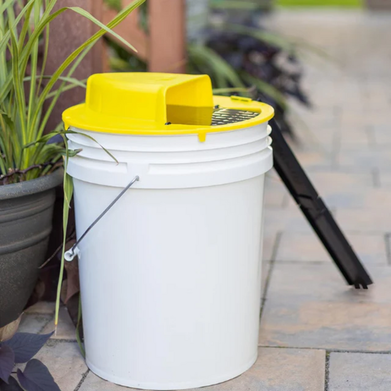 Reusable mouse and rat trap with automatic reset bucket lid