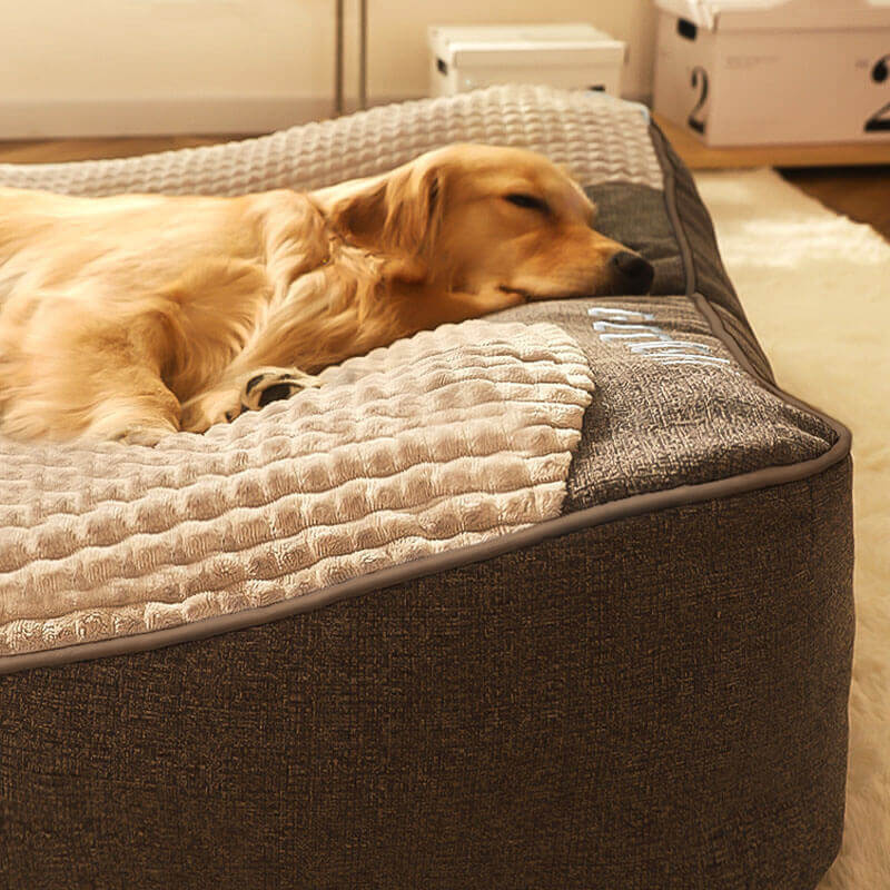 Cama ortopédica para perros grandes con superficie resistente a arañazos – Suave, lavable y cómoda para un descanso profundo