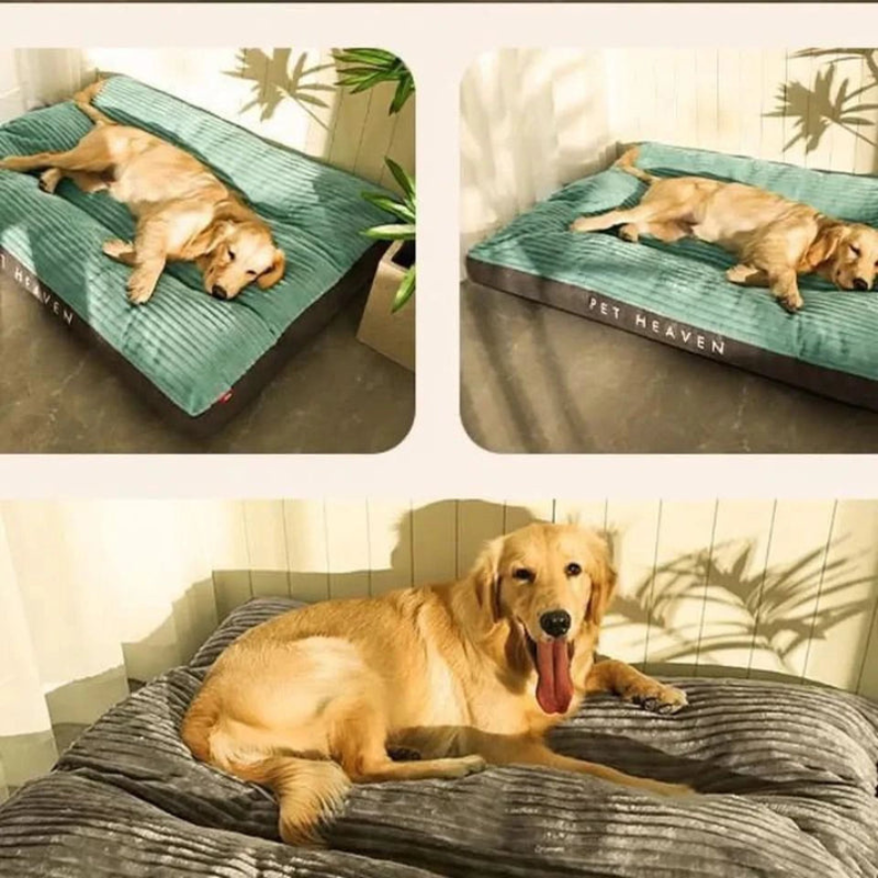 Orthopedic dog bed – comfortable and supportive for restful sleep