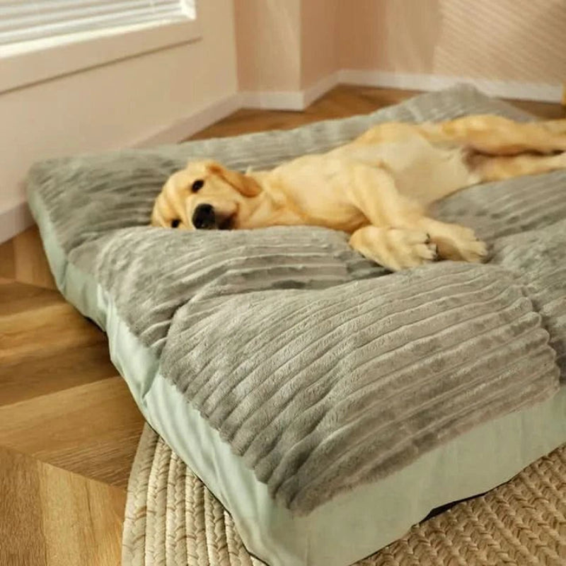 Orthopedic dog bed – comfortable and supportive for restful sleep